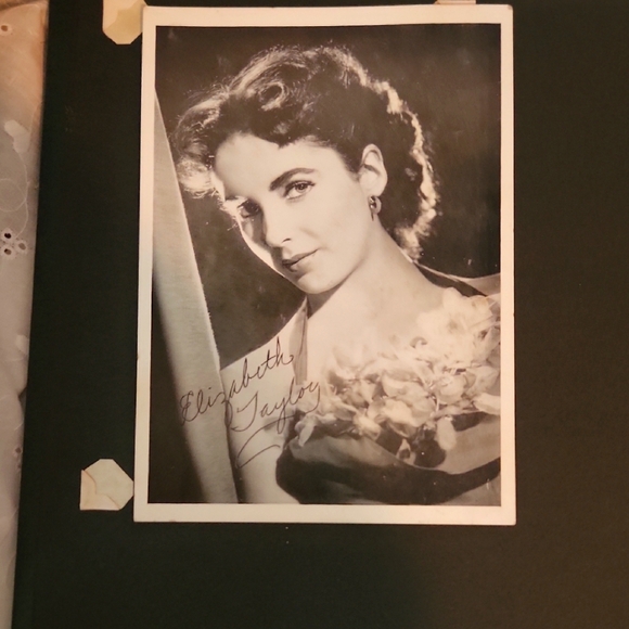 Other - Vintage Black and White Portrait Photograph Elizabeth Taylor